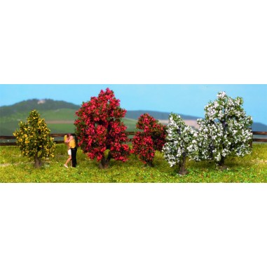 ARBUSTOS FLORESCIENTES NOCH 25420