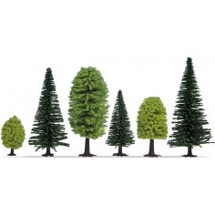 BOSQUE MIXTO NOCH 26811