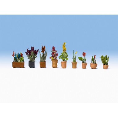 PLANTAS ORNAMENTALES EN MACETAS NOCH...