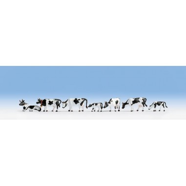 VACAS NOCH 36721 ESCALA N
