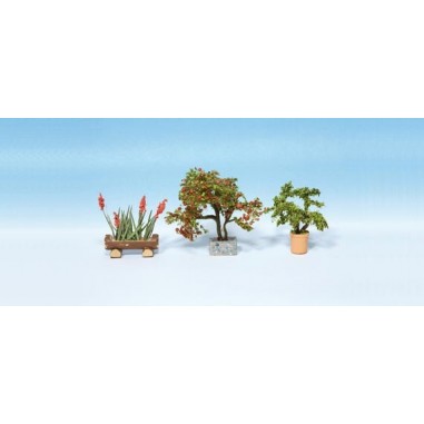PLANTAS ORNAMENTALES NOCH 14020...