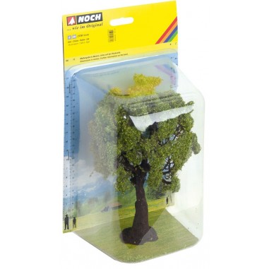 ROBLE NOCH 21761